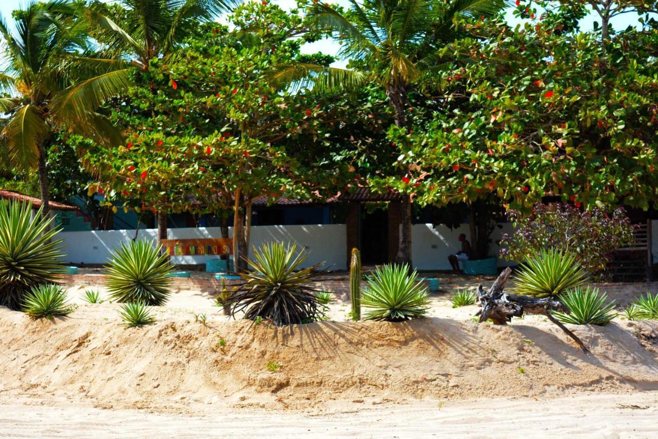 Hostel America Do Sul Jijoca de Jericoacoara Εξωτερικό φωτογραφία